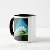 Mug Chenille du papillon Prométhée, Callosamia (Devant gauche)
