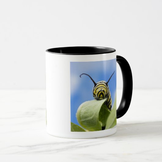 Mug Chenille noire et jaune (Devant droit)