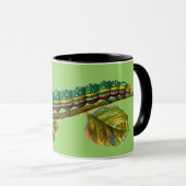 Mug Cherellerie de Calocampa vetusta (Devant droit)