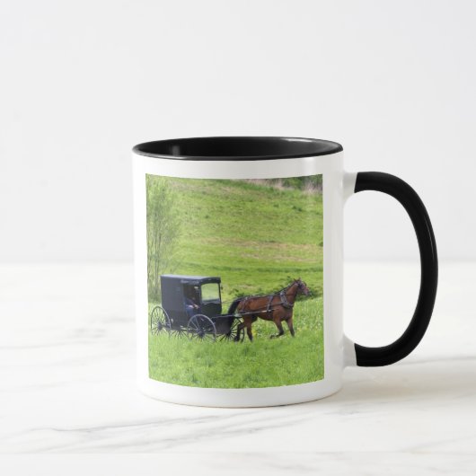 Mug Cheval Amish et buggy près de Berlin, Ohio. (Droite)