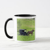 Mug Cheval Amish et buggy près de Berlin, Ohio. (Gauche)