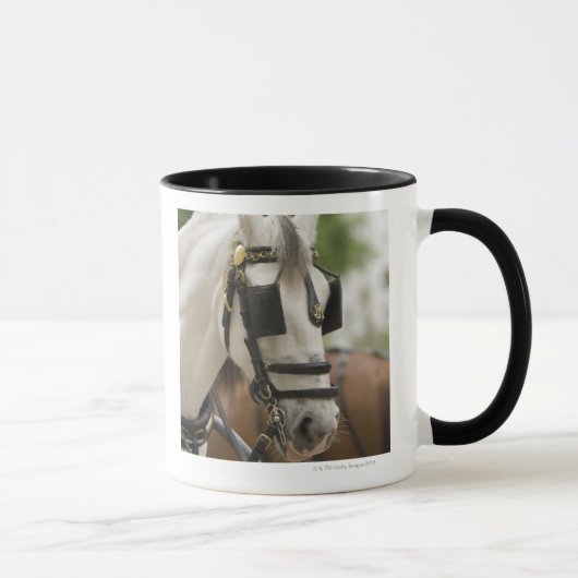 Mug Cheval avec des oeillères (Droite)