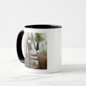 Mug Cheval avec des oeillères (Devant gauche)