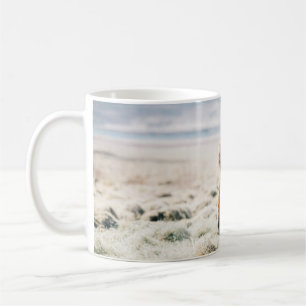 Mug CHEVAL Brown SITUÉ SUR GRASS PRÈS DE LA PLAGE