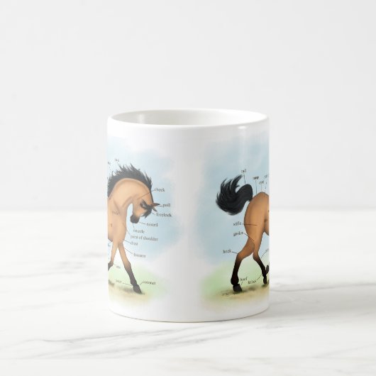 Mug Cheval Buckskin Education Equine Anatomie (Centre)