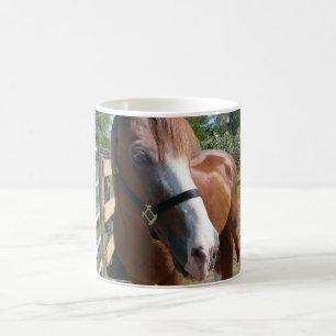 Mug Cheval curieux