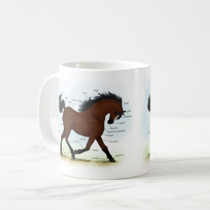Mug Cheval De Baie Avec Lame Éducative Anatomique Gra
