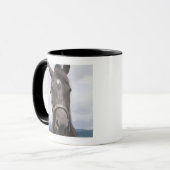 Mug Cheval de brun foncé (Devant gauche)