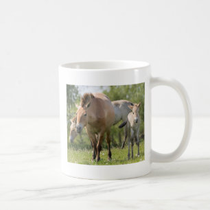 Mug Cheval de Przewalski et poulain marchant