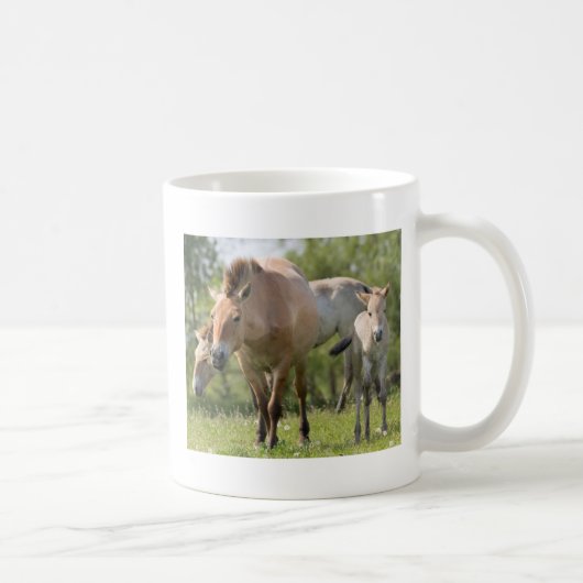 Mug Cheval de Przewalski et poulain marchant (Droite)