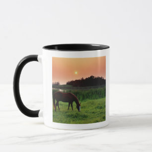 Mug Cheval frôlant dans le domaine au coucher du