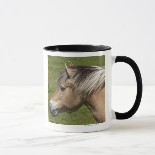 Mug Cheval norvégien de fjord
