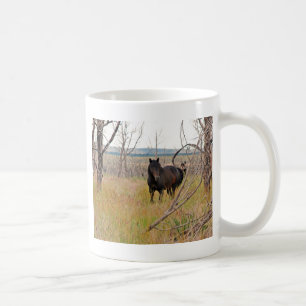 Mug cheval sauvage dans le MESA Verde