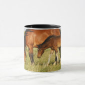Mug Cheval sauvage Mère et Colt pâturage (Centre)