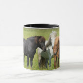 Mug Chevaux dans le ranch, sud de l'Islande (Centre)
