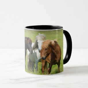 Mug Chevaux dans le ranch, sud de l'Islande