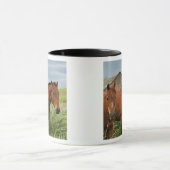 Mug Chevaux dans un champ dans la Palouse 3 (Centre)