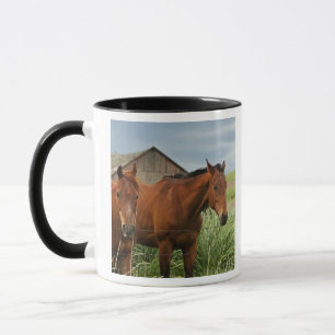 Mug Chevaux dans un champ dans la Palouse 3