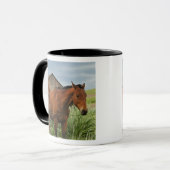 Mug Chevaux dans un champ dans la Palouse 3 (Devant gauche)