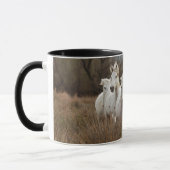Mug Chevaux de Camargue en course (Gauche)