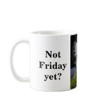 Cheveux de vendredi de Timmy