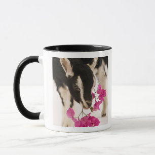 Mug Chèvre alpine britannique domestiquée (enfant).