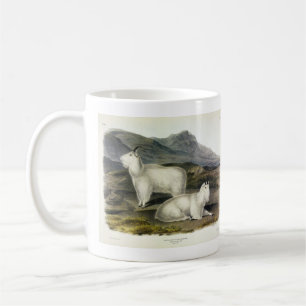 Mug Chèvre de montagne (Capra Americana par Audubon)