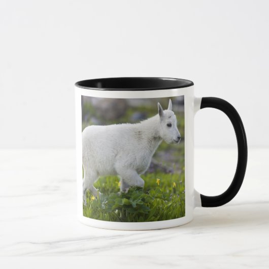 Mug Chevreau au col Logan dans Glacier (Droite)