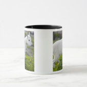 Mug Chevreau au col Logan dans Glacier (Centre)