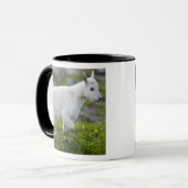 Mug Chevreau au col Logan dans Glacier (Devant gauche)