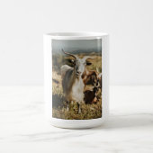 Mug Chèvres, chèvres et chèvres (77) (Centre)