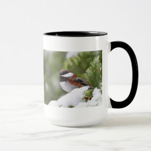 Mug Chickadee dans la neige sur un arbre de cèdre