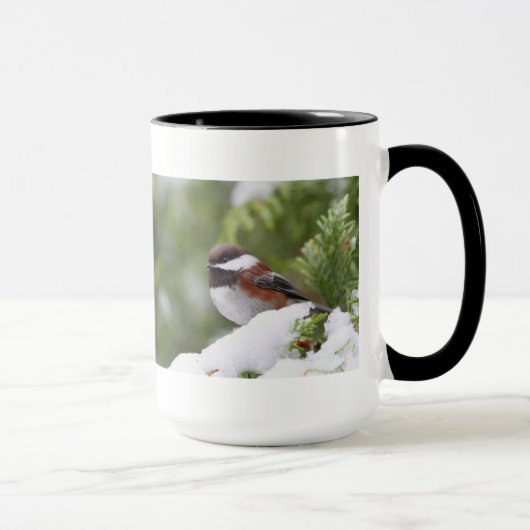 Mug Chickadee dans la neige sur un arbre de cèdre (Droite)