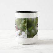 Mug Chickadee dans la neige sur un arbre de cèdre (Centre)