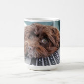 Mug Chien, Animal de compagnie, confinement (Centre)