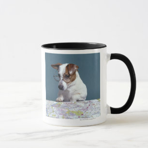 Mug Chien avec des verres de lecture étudiant la cart