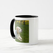 Mug Chien blanc (Devant gauche)