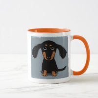 Chien chiot long haïe noir et tan dachshund