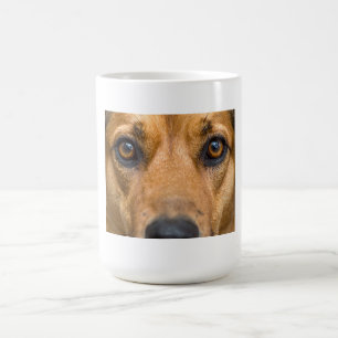 Mug Chien Curieux en Observation
