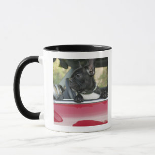 Mug Chien dans la voiture