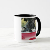 Mug Chien dans la voiture (Devant droit)