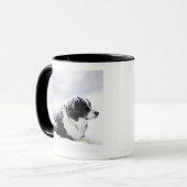 Mug Chien de berger (Akbash/mélange de colley) se (Devant gauche)