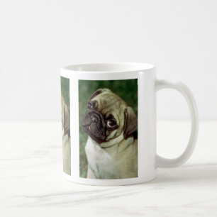 Mug Chien de carlin