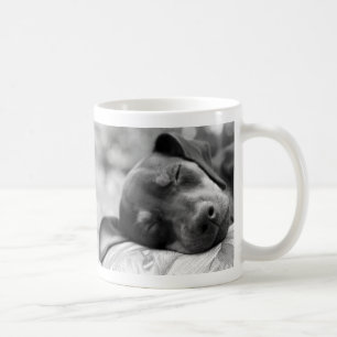 Mug Chien de Pinscher miniature de sommeil