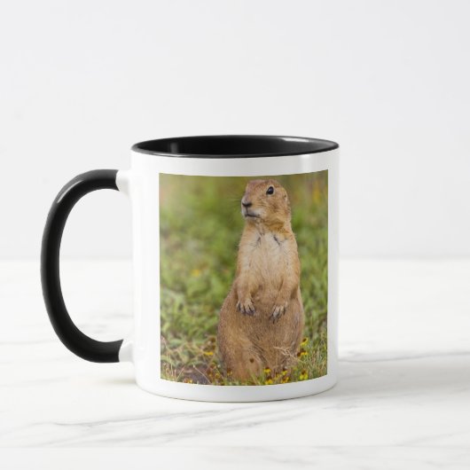 Mug Chien de prairie à queue noire Cynomys (Gauche)