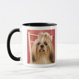 Mug Chien de Shih-tzu