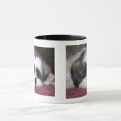 Mug Chien de Shih Tzu (Centre)