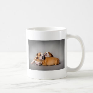 Mug Chien de taureaux anglais dormant