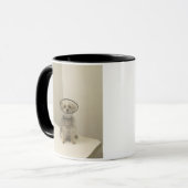Mug Chien de Terrier utilisant le collier protecteur, (Devant gauche)