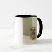 Mug Chien de Terrier utilisant le collier protecteur, (Devant droit)